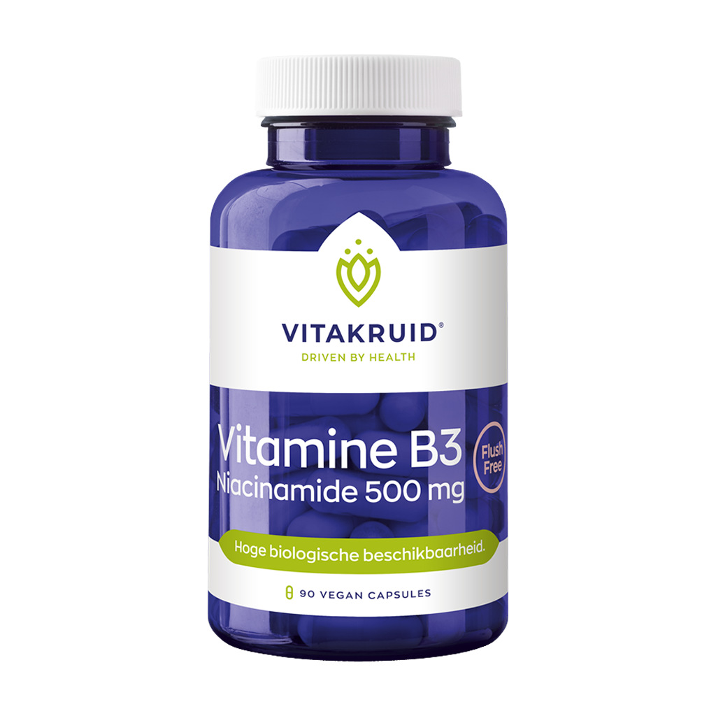 vitakruid vitamin b3 niacinamid 500 mg 1